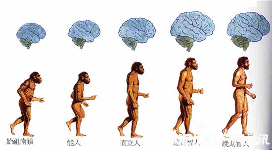 为何不可能是外星人造人178 / 作者:UFO爱好者 / 帖子ID:79213