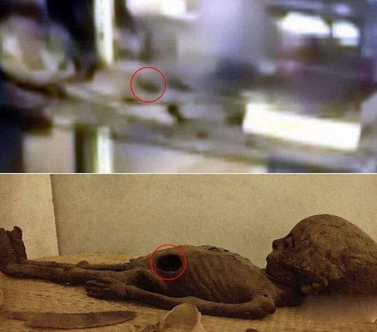 最新证据曝光：外星人竟真实存在282 / 作者:UFO爱好者 / 帖子ID:76049