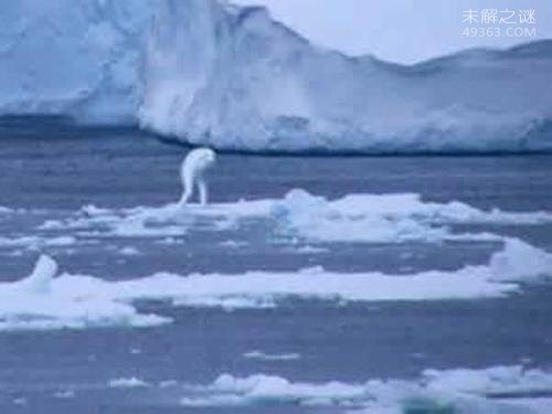 世界五大恐怖生化实验生物，不敢相信这些“怪物”真的存在383 / 作者:UFO爱好者 / 帖子ID:68912