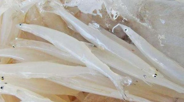中国十大最贵的淡水鱼,鳇鱼一尾竟要几十万！296 / 作者:UFO爱好者 / 帖子ID:76289