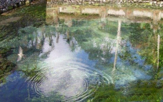 长翅膀的人类真的存在吗?至今未解的20个世界谜团！949 / 作者:UFO爱好者 / 帖子ID:79861