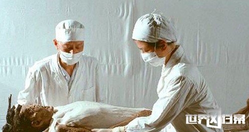 揭秘东方睡美人辛追夫人尸身千年不腐之谜982 / 作者:UFO爱好者 / 帖子ID:67723