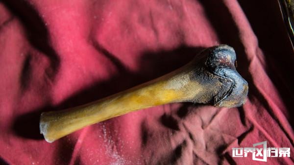 独家揭秘喜马拉雅山雪人神秘身世461 / 作者:UFO爱好者 / 帖子ID:67722