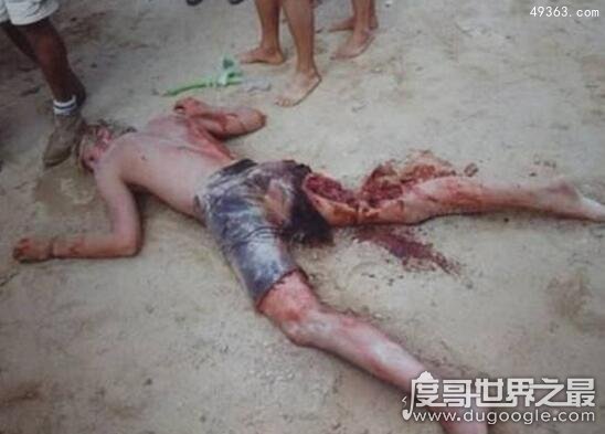 美国12岁男孩钓起约250公斤鲨鱼，世界上最惨鲨鱼吃人事件151 / 作者:UFO爱好者 / 帖子ID:67032
