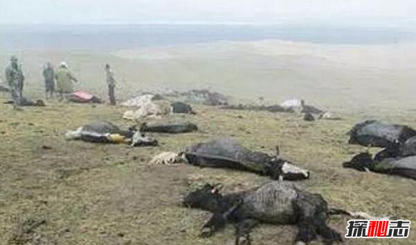 昆仑山死亡谷地狱之门事件 昆仑山死亡谷之谜(磁场原因)679 / 作者:UFO爱好者 / 帖子ID:99351 昆仑山死亡谷地狱之门事件 昆仑山死亡谷之谜(磁场原因)679 / 作者:UFO爱好者 / 帖子ID:99351