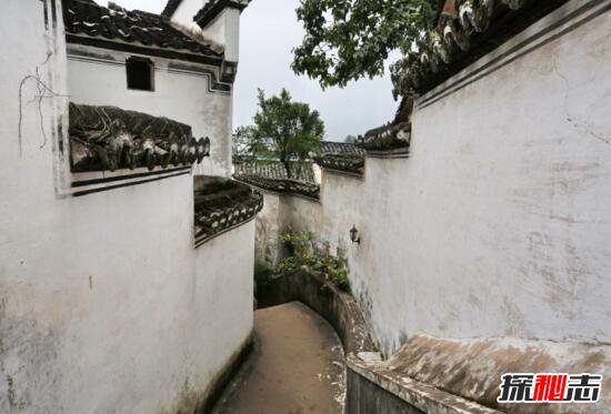 山东阳谷迷魂阵村之谜，外地人进入后没人能出来(图)450 / 作者:UFO爱好者 / 帖子ID:99348