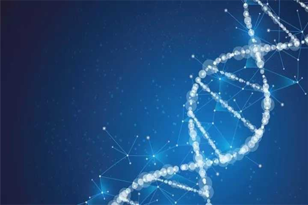 世界上第一个人造生命：辛西娅 从化学物质中提取基因508 / 作者:UFO爱好者 / 帖子ID:79964