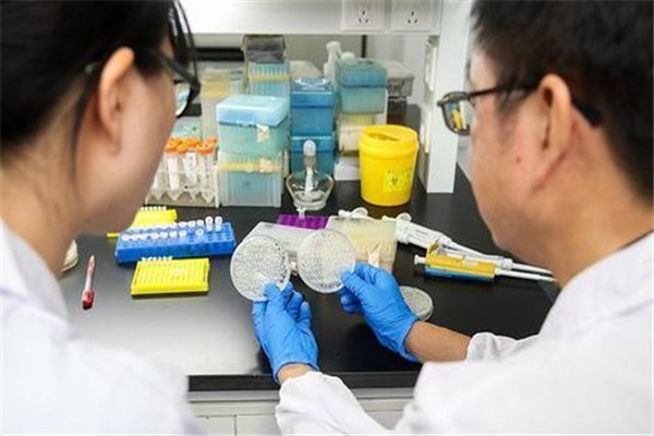 世界上第一个人造生命：辛西娅 从化学物质中提取基因439 / 作者:UFO爱好者 / 帖子ID:79964
