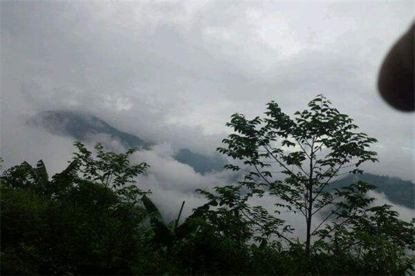 云南虫谷遮龙山是真的吗?出土的人皮地图上证实存在401 / 作者:UFO爱好者 / 帖子ID:91809