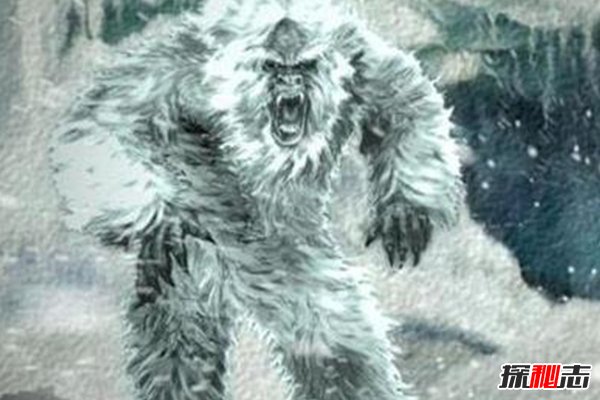 世界18大恐怖怪兽，巨型蚯蚓最长2米雪怪脚长33厘米639 / 作者:UFO爱好者 / 帖子ID:104243