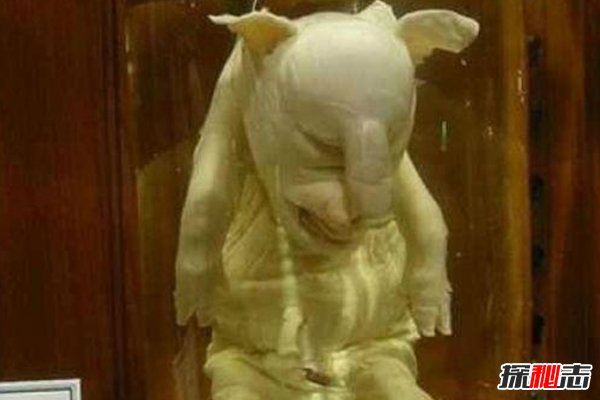 世界18大恐怖怪兽，巨型蚯蚓最长2米雪怪脚长33厘米998 / 作者:UFO爱好者 / 帖子ID:104243