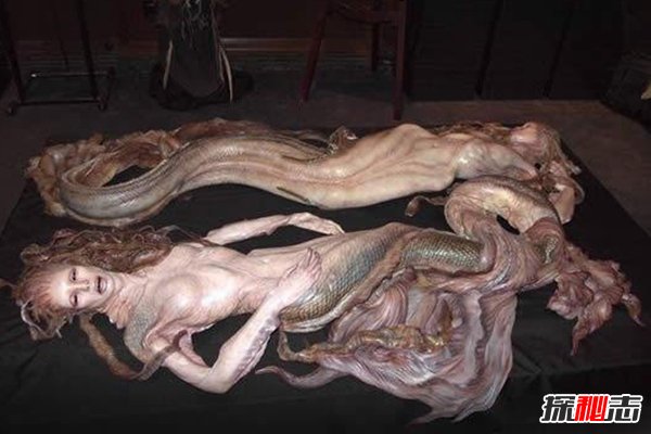 美人鱼吃小孩是真是假，无相关报道实为谣言？(真相辟谣)266 / 作者:UFO爱好者 / 帖子ID:104198