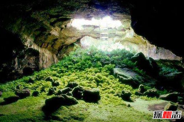 世界八大禁地：最神秘百慕大只排第五，中国仅一处上榜496 / 作者:UFO爱好者 / 帖子ID:104112