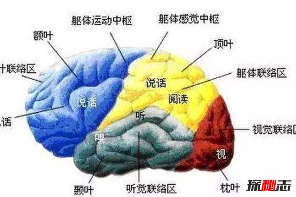 人类被隐瞒的惊人真相，地球是个监狱，人类早已被操控251 / 作者:UFO爱好者 / 帖子ID:104113
