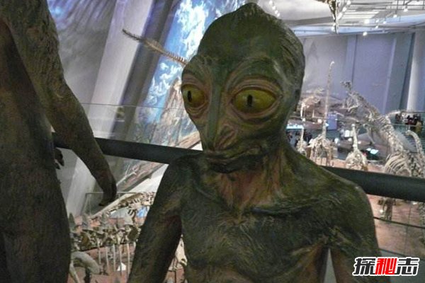 恐龙人学说：如果恐龙没有灭绝，将进化成人统治地球541 / 作者:UFO爱好者 / 帖子ID:104085