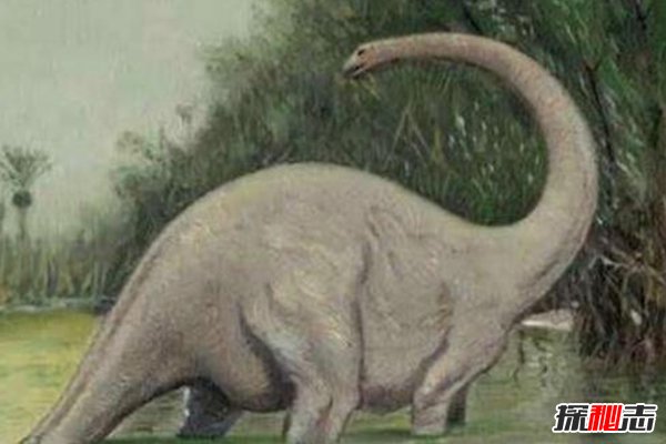 世界上唯一一只恐龙：魔克拉姆边贝，竟然被人吃掉了188 / 作者:UFO爱好者 / 帖子ID:104114