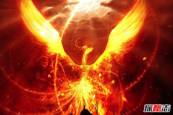 世界上最后一只凤凰，惊现黑龙江，凤凰目击事件盘点884 / 作者:UFO爱好者 / 帖子ID:104110
