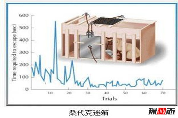 桑代克饿猫迷笼实验是什么？揭秘学习的本质(附结论)33 / 作者:UFO爱好者 / 帖子ID:84473