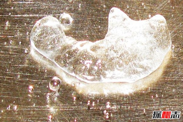 莱顿弗罗斯特效应：水蒸气保护罩,氮冰桶都不怕850 / 作者:UFO爱好者 / 帖子ID:83822