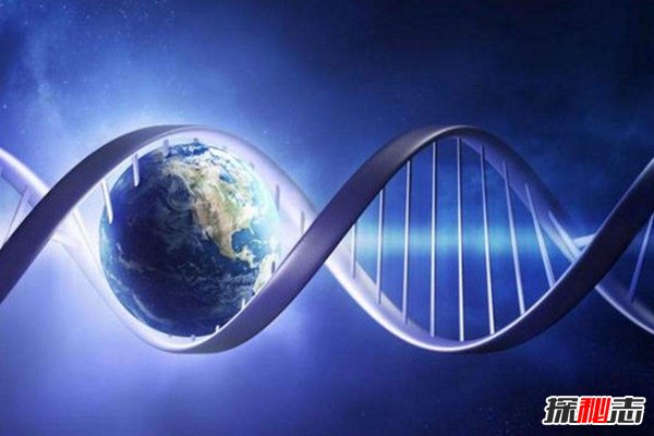 硅基生命真的存在吗?硅基生命是否比人类更高级340 / 作者:UFO爱好者 / 帖子ID:84084