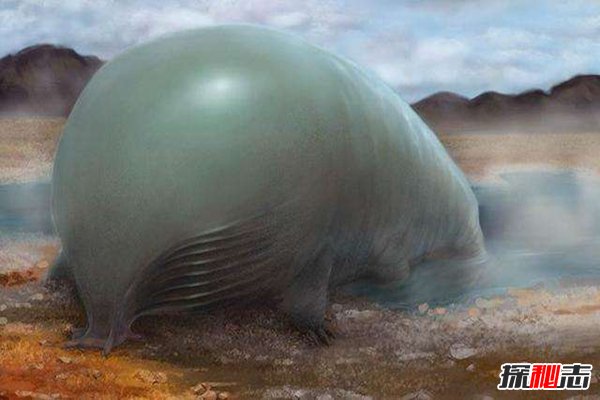 硅基生命真的存在吗?硅基生命是否比人类更高级569 / 作者:UFO爱好者 / 帖子ID:84084