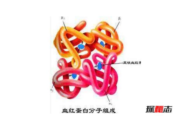 硅基生命真的存在吗?硅基生命是否比人类更高级468 / 作者:UFO爱好者 / 帖子ID:84084