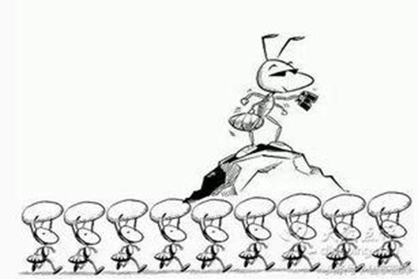 懒蚂蚁效应是什么?为什么企业离不开20%“懒员工”23 / 作者:UFO爱好者 / 帖子ID:84395