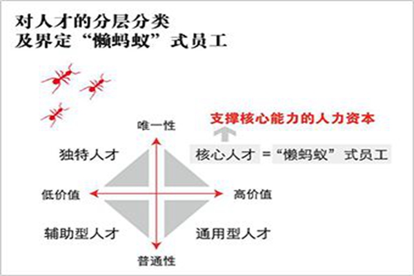 懒蚂蚁效应是什么?为什么企业离不开20%“懒员工”430 / 作者:UFO爱好者 / 帖子ID:84395