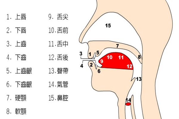 48个英语音标如何快速牢记?教你音标记忆顺口溜24 / 作者:UFO爱好者 / 帖子ID:87041 48个英语音标如何快速牢记?教你音标记忆顺口溜24 / 作者:UFO爱好者 / 帖子ID:87041