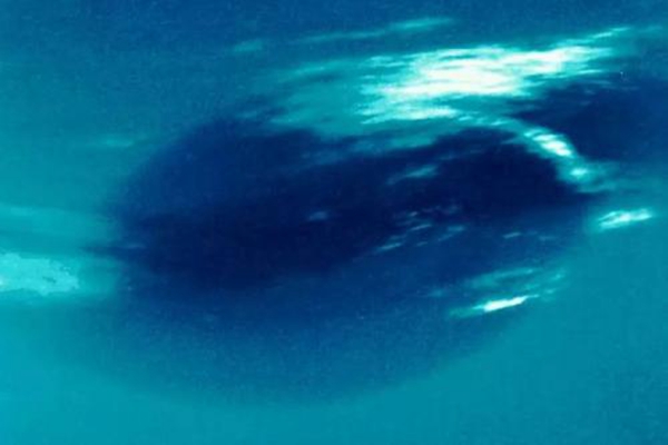 海王星恐怖?巨大气旋加上极寒，人可能一秒都活不成632 / 作者:UFO爱好者 / 帖子ID:84406