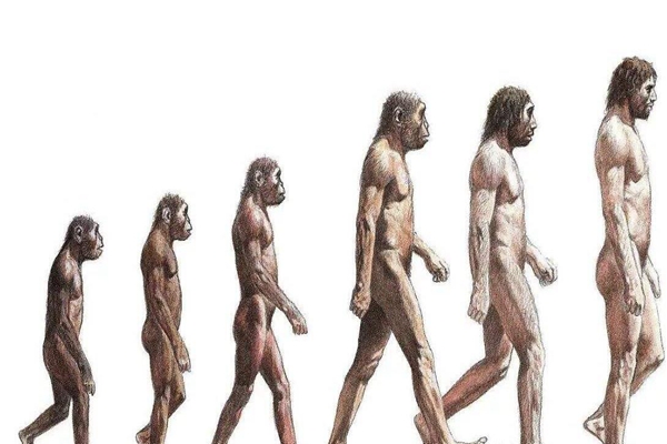地球上第一个人是谁?按照进化论，生出第一个人类的是猿360 / 作者:UFO爱好者 / 帖子ID:88277