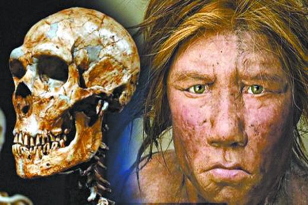 人类起源于非洲?夏娃理论遭到质疑，化石分布说明一切393 / 作者:UFO爱好者 / 帖子ID:97689