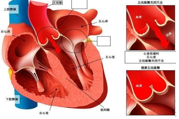 为什么奔跑时心脏会剧烈跳动?氧气需求增大(对心脏有利)20 / 作者:UFO爱好者 / 帖子ID:83588