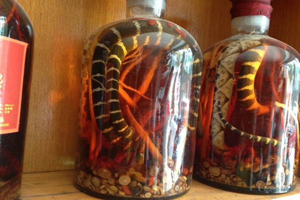 蛇酒泡了10年蛇还活着?泡了3个月酒都喝完蛇还活着979 / 作者:UFO爱好者 / 帖子ID:104058