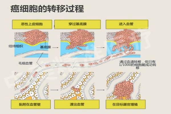 癌细胞是否可以让人永生？癌症其实是保护人类物种完整性360 / 作者:UFO爱好者 / 帖子ID:104055