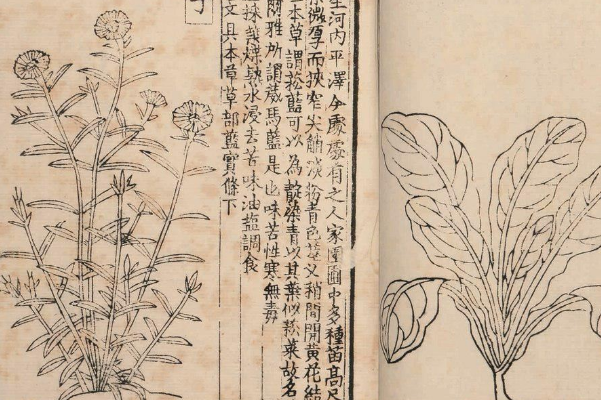 救荒本草是哪个朝代的？为什么被称饥荒年代的救命书669 / 作者:UFO爱好者 / 帖子ID:74624