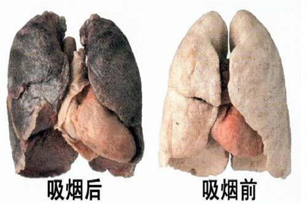 一包烟怎么看生产日期?看32位数烟草码（第一代表年份）864 / 作者:UFO爱好者 / 帖子ID:90071