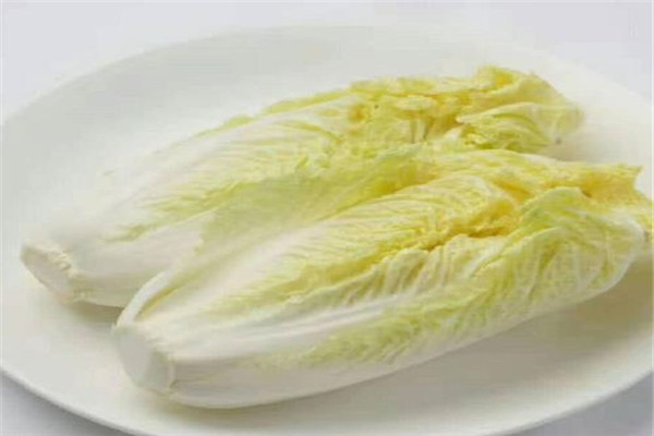 娃娃菜可以放多久？娃娃菜的储存方式（冰箱保鲜半个月）561 / 作者:UFO爱好者 / 帖子ID:89981