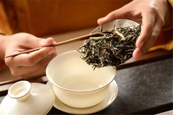 普洱茶可以煮着喝吗 冲泡3-5分钟最合适（香气扑鼻）325 / 作者:UFO爱好者 / 帖子ID:89806