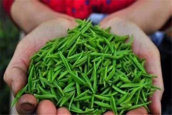 茶叶有哪些品牌 十大茶叶品牌推荐693 / 作者:UFO爱好者 / 帖子ID:89720
