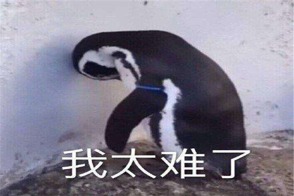 9021年什么梗 9021是从什么时候开始的377 / 作者:UFO爱好者 / 帖子ID:89690
