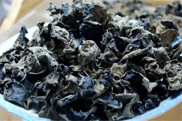 煮熟的黑木隔天可吃吗 放置最好不要超过八小时435 / 作者:UFO爱好者 / 帖子ID:89653