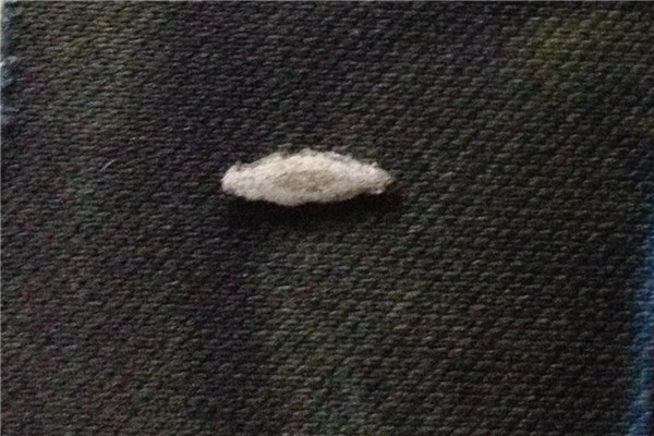 家里有衣蛾一定有窝吗 如何去除衣蛾612 / 作者:UFO爱好者 / 帖子ID:89631