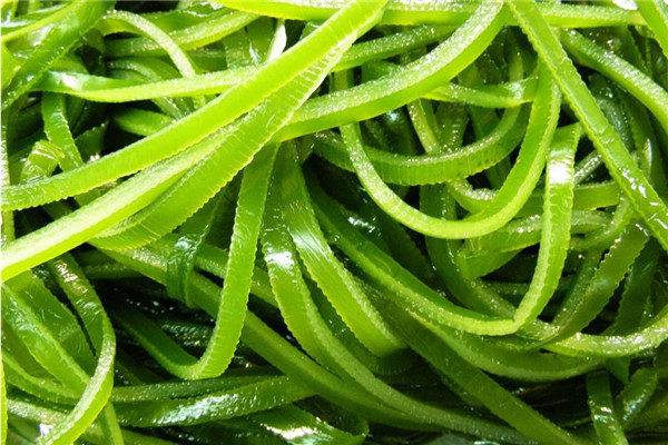 紫菜和海带有什么区别 海带口感爽脆/紫菜绵软(五处不同)682 / 作者:UFO爱好者 / 帖子ID:89522