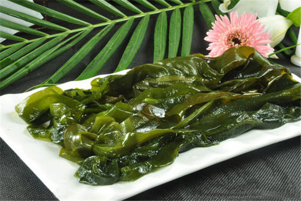 紫菜和海带有什么区别 海带口感爽脆/紫菜绵软(五处不同)312 / 作者:UFO爱好者 / 帖子ID:89522