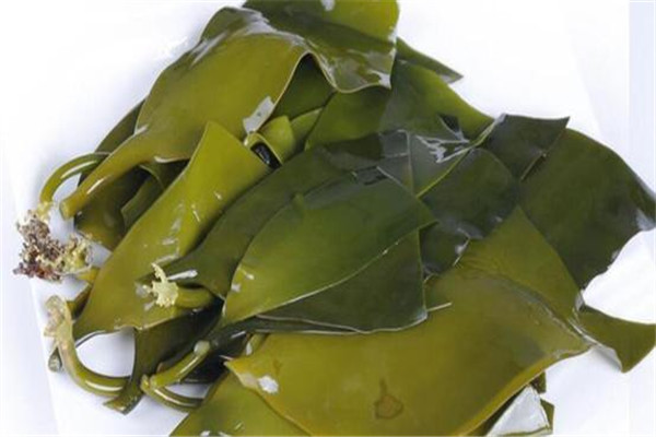 紫菜和海带有什么区别 海带口感爽脆/紫菜绵软(五处不同)2 / 作者:UFO爱好者 / 帖子ID:89522