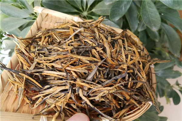 云南滇红茶该怎么保存 云南滇红茶叶保质期多长272 / 作者:UFO爱好者 / 帖子ID:89483