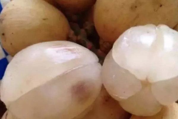 世界最奇葩水果:第一果肉像粉丝 第六被称果中鱼子酱532 / 作者:UFO爱好者 / 帖子ID:94701
