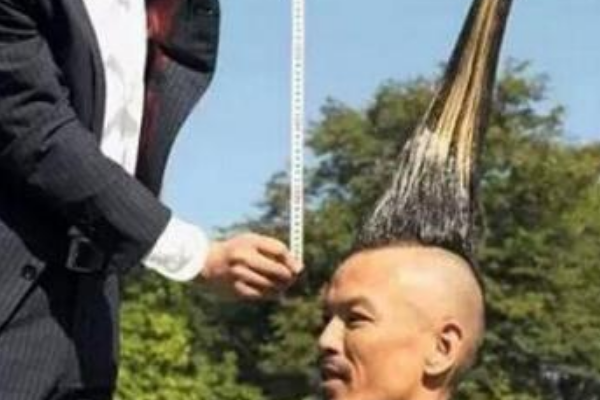 世界上最高的莫希干式发型:长达1.18米(和8岁小孩等高)809 / 作者:UFO爱好者 / 帖子ID:94233