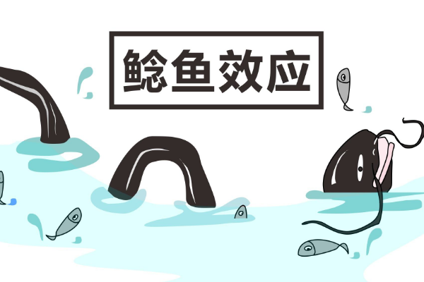 鲶鱼效应告诉我们什么道理?引进鲶鱼型人才激发竞争154 / 作者:UFO爱好者 / 帖子ID:73374